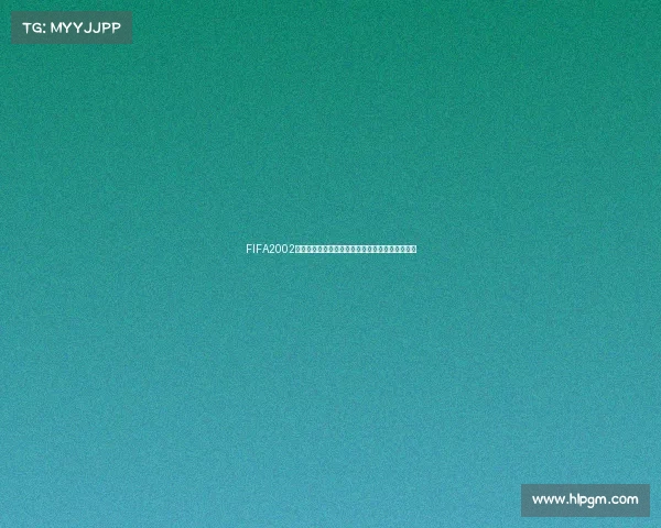 FIFA2002世界杯中文补丁安装与使用全攻略与经典回忆解析